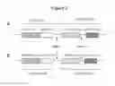 Fig. 03 - BISPECIFIC ANTIBODIES
