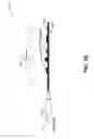 Fig. 06 - Self-writing waveguide with nanoparticles