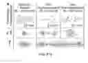 Fig. 50 - ASSOCIATIVE POLYMERS AND RELATED COMPOSITIONS, METHODS AND SYSTEMS