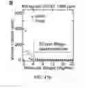 Fig. 51 - ASSOCIATIVE POLYMERS AND RELATED COMPOSITIONS, METHODS AND SYSTEMS