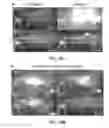 Fig. 57 - ASSOCIATIVE POLYMERS AND RELATED COMPOSITIONS, METHODS AND SYSTEMS