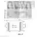 Fig. 74 - ASSOCIATIVE POLYMERS AND RELATED COMPOSITIONS, METHODS AND SYSTEMS