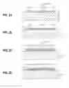 Fig. 04 - Liquid composition, shaped article, and shaped article production method
