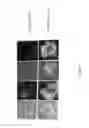 Fig. 02 - High block, tack and scrub resistant coating composition