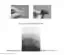 Fig. 11 - Water, grease and heat resistant bio-based products and method of making same