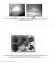 Fig. 14 - Water, grease and heat resistant bio-based products and method of making same