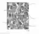 Fig. 01 - WELLBORE SERVICING COMPOSITIONS AND METHODS OF MAKING AND USING SAME
