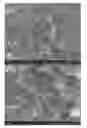 Fig. 01 - High surface area graphene-supported metal chalcogenide assembly