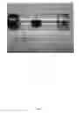 Fig. 02 - High surface area graphene-supported metal chalcogenide assembly
