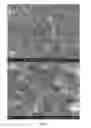 Fig. 03 - High surface area graphene-supported metal chalcogenide assembly