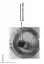 Fig. 10 - Method to produce catalytically active nanocomposite coatings