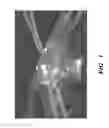 Fig. 02 - INTEGRATED HUMAN ORGAN-ON-CHIP MICROPHYSIOLOGICAL SYSTEMS