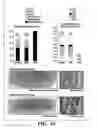 Fig. 14 - INTEGRATED HUMAN ORGAN-ON-CHIP MICROPHYSIOLOGICAL SYSTEMS