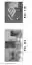 Fig. 17 - INTEGRATED HUMAN ORGAN-ON-CHIP MICROPHYSIOLOGICAL SYSTEMS