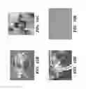 Fig. 22 - INTEGRATED HUMAN ORGAN-ON-CHIP MICROPHYSIOLOGICAL SYSTEMS
