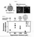 Fig. 06 - Co-incubating confined microbial communities