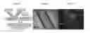 Fig. 09 - Co-incubating confined microbial communities