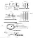 Fig. 10 - Co-incubating confined microbial communities