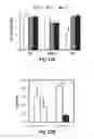 Fig. 37 - RECONFIGURABLE ASSEMBLY WITH FARADAY WAVE-BASED TEMPLATES