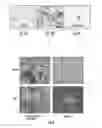 Fig. 04 - CELL CULTURE ARTICLE AND METHODS THEREOF