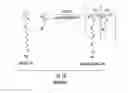 Fig. 07 - CELL CULTURE ARTICLE AND METHODS THEREOF