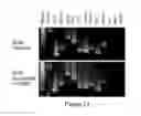 Fig. 25 - Compositions and Methods Useful for Culturing Differentiable Cells