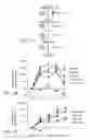 Fig. 02 - Methods for differentiating cells into hepatic stellate cells and hepatic sinusoidal endothelial cells, cells produced by the method, and methods for using the cells