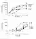 Fig. 03 - Methods for differentiating cells into hepatic stellate cells and hepatic sinusoidal endothelial cells, cells produced by the method, and methods for using the cells