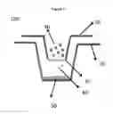 Fig. 02 - Method for cellular restoration