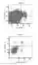 Fig. 06 - Method for cellular restoration
