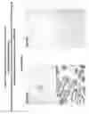 Fig. 08 - Differentiated Pluripotent Stem Cell Progeny Depleted of Extraneous Phenotypes