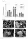 Fig. 09 - Kit and method for promoting mesenchymal stem cell differentiation