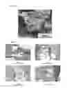 Fig. 10 - Kit and method for promoting mesenchymal stem cell differentiation