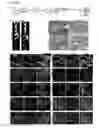 Fig. 09 - Methods of generating cells with multilineage potential