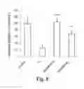 Fig. 09 - Methods of producing stem cell conditioned media