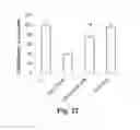Fig. 13 - Methods of producing stem cell conditioned media