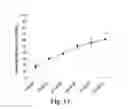 Fig. 14 - Methods of producing stem cell conditioned media