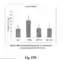 Fig. 19 - Methods of producing stem cell conditioned media