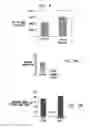 Fig. 08 - Regulating stem cells