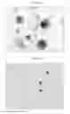 Fig. 11 - Regulating stem cells