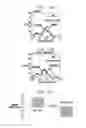 Fig. 13 - Regulating stem cells