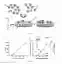 Fig. 02 - METHOD OF CULTURING CANCER STEM CELLS