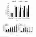 Fig. 08 - METHOD OF CULTURING CANCER STEM CELLS