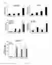 Fig. 10 - METHOD OF CULTURING CANCER STEM CELLS
