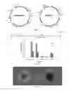 Fig. 02 - EPISOMAL REPROGRAMMING WITH CHEMICALS