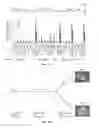 Fig. 05 - EPISOMAL REPROGRAMMING WITH CHEMICALS
