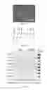 Fig. 13 - EPISOMAL REPROGRAMMING WITH CHEMICALS