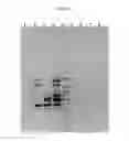 Fig. 04 - DNA polymerases