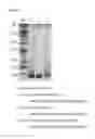 Fig. 19 - COMPOSITION AND FORMULATION COMPRISING RECOMBINANT HUMAN IDURONATE-2-SULFATASE AND PREPARATION METHOD THEREOF