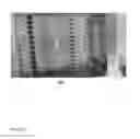 Fig. 21 - Methods and apparatuses for gene purification and imaging